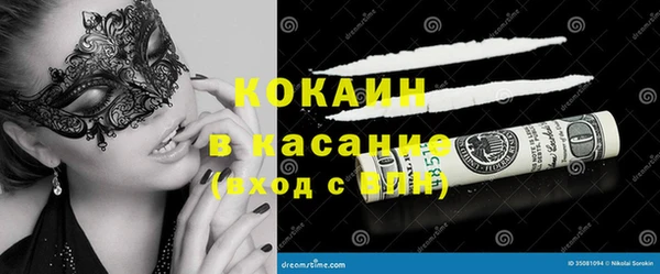 индика Новокубанск