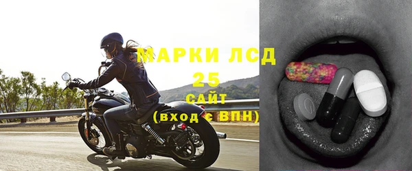 индика Новокубанск