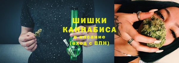 индика Новокубанск