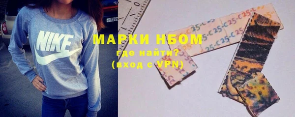 индика Новокубанск