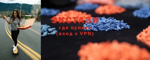 индика Новокубанск