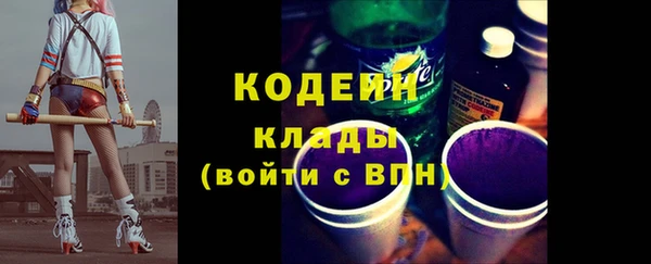 индика Новокубанск