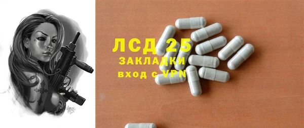 индика Новокубанск