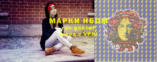 индика Новокубанск