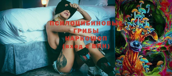 индика Новокубанск