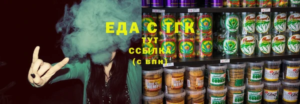 индика Новокубанск