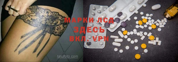 хмурый Белая Холуница