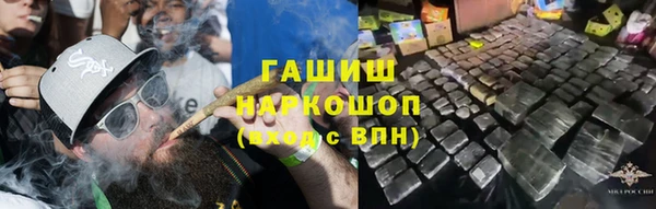индика Новокубанск