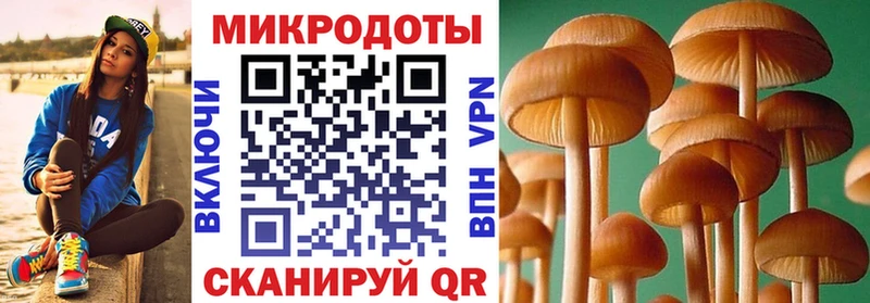 Псилоцибиновые грибы MAGIC MUSHROOMS  Новосибирск 