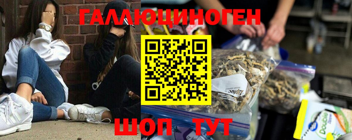 Псилоцибиновые грибы MAGIC MUSHROOMS Новосибирск