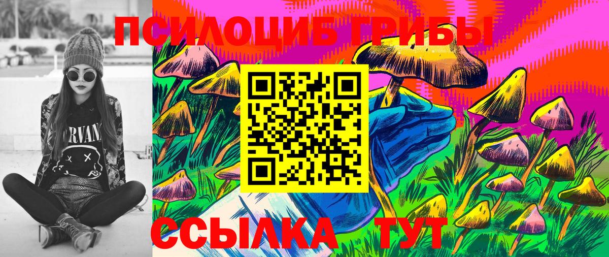 Новосибирск  Псилоцибиновые грибы мухоморы  Вход с VPN 